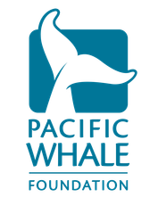 Pacific Whale Foundation